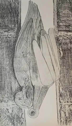Max Ernst - Map met 34 werken: Histoire Naturelle - 1972 kopen? Bied vanaf 499!