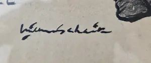 Willem van Schaik - Het oog van de cel. kopen? Bied vanaf 169!