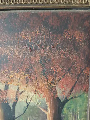 Onbekend - Hert in het bos kopen? Bied vanaf 50!