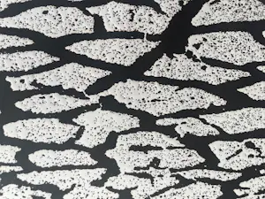 Menashe Kadishman - Cracked earth kopen? Bied vanaf 100!