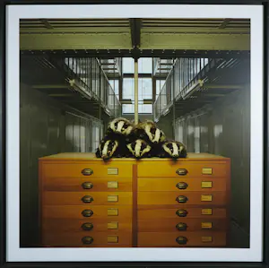 Paul den Hollander - Fotografie, Gernskantoor III - Ingelijst kopen? Bied vanaf 60!