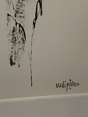 Rudi Pillen - Naakt kopen? Bied vanaf 1000!