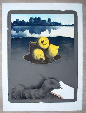 Manuel Menan - Zurbaran 2- grote ets in 13 kleuren verkocht voor € 40!