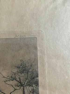 Toon de Jong - Het oudste huis van Laren kopen? Bied vanaf 40!