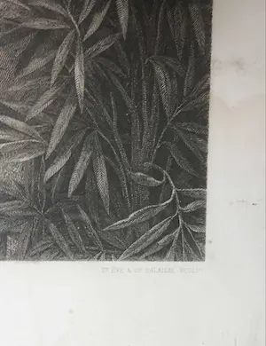 Charles de Lalaissé - Gravure, Eve cueille la pomme - Ingelijst kopen? Bied vanaf 1!