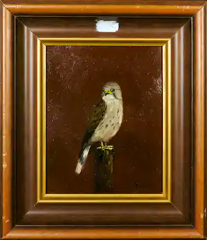 Henk Poeder - Olieverf op paneel, Torenvalk - Ingelijst verkocht voor € 70!