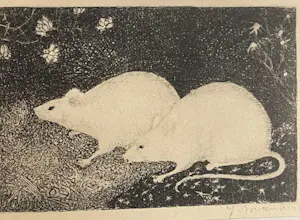 Jan Mankes - Twee Muizen kopen? Bied vanaf 120!