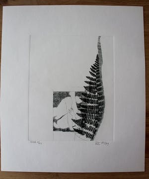 Rob Cox - Ets - grafiek erotiek1978/1979 kopen? Bied vanaf 35!