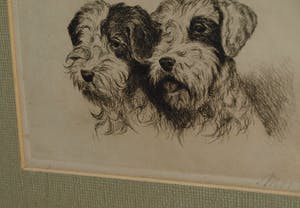Niet of onleesbaar gesigneerd - Ingelijste ets , 2 Honden , 2 portretten - oud kopen? Bied vanaf 1!