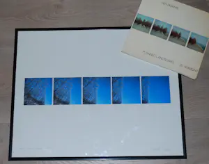 Ger Dekkers - Flevoland, Wood of silver poplars - incl.boekwerk kopen? Bied vanaf 65!