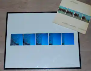Ger Dekkers - Flevoland, Wood of silver poplars - incl.boekwerk verkocht voor € 75!
