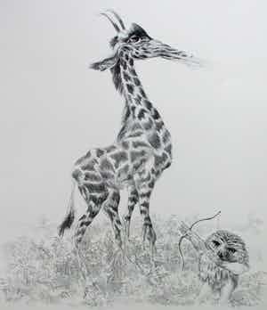 Peter Vos - Litho: De ontdekking van de giraffe verkocht voor € 160!