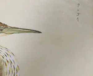 Niet of onleesbaar gesigneerd - Japanse Inkttekening ingekleurd kopen? Bied vanaf 1!