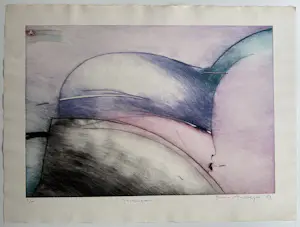 Dana Andreev - handgesigneerde kleurenets | 'Stranger' | 1983 (ZEER KLEINE OPLAGE) kopen? Bied vanaf 90!