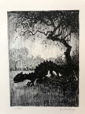 Jan Poortenaar - De demon (de berg van dromen) verkocht voor € 45!