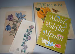 Maria Sybilla Merian - 2 boeken, 2 gravures (19e Eeuw) kopen? Bied vanaf 75!
