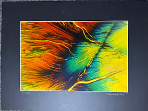 Wilma van Opstal - Wilma van Opstal – Fluoriet – 1997 – microfotografie van gesteente – 27/50 kopen? Bied vanaf 325!