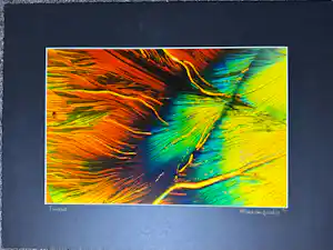 Wilma van Opstal - Wilma van Opstal – Fluoriet – 1997 – microfotografie van gesteente – 27/50 kopen? Bied vanaf 325!