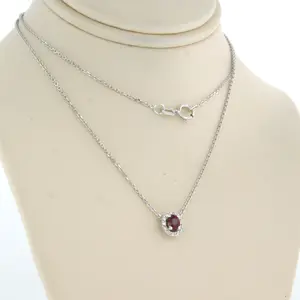 14k wit gouden collier met hanger met robijn en briljant geslepen diamant kopen? Bied vanaf 170!
