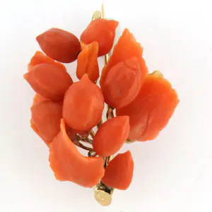 BWG geel tak broche met koraal kopen? Bied vanaf 410!