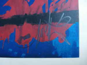 Raymond Moretti - La Colombe - lithografie, ingelijst kopen? Bied vanaf 95!
