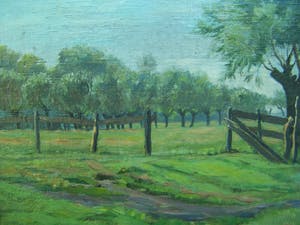 Sam Schellink - Landschap met wilgen kopen? Bied vanaf 40!