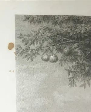 Charles de Lalaissé - Gravure, Eve cueille la pomme - Ingelijst kopen? Bied vanaf 1!
