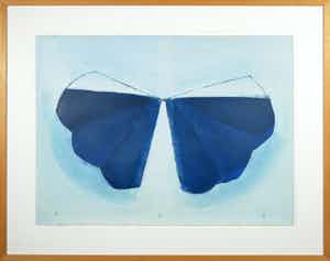 Aafke Kelly - Olieverf op papier, Dancing Wings - Ingelijst (Groot) verkocht voor € 40!