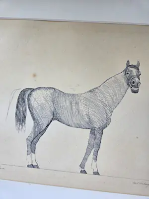 Aat Verhoog - Paard kopen? Bied vanaf 50!