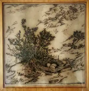 Antonius Cornelis Ninaber van Eyben - Zilvermeeuwennest verkocht voor € 59!
