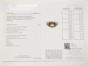 2.17ct Tourmaline and Diamond Ring kopen? Bied vanaf 350!