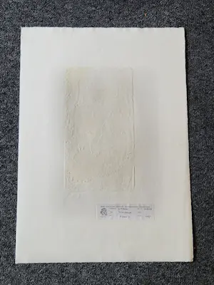 Gertie Mesker - 1971 handgekleurde reliëfdruk "terre Chaude" potloodgesigneerd bep. oplage (50) kopen? Bied vanaf 38!