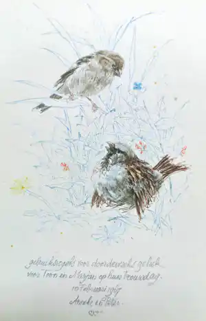Peter Vos - Gebruiksvogels voor doordeweeks geluk, tekening / aquarel verkocht voor € 375!