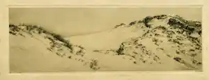 Dirk Harting - Duinen kopen? Bied vanaf 25!