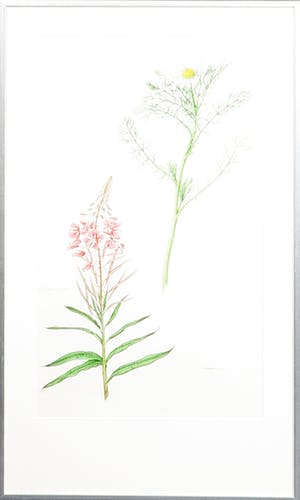 Niet of onleesbaar gesigneerd - Potloodtekening, Zonder titel - Ingelijst kopen? Bied vanaf 1!