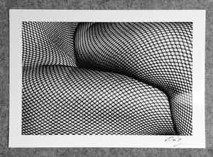 Daido Moriyama - Autogramm auf Fotografie Tights verkocht voor € 64!