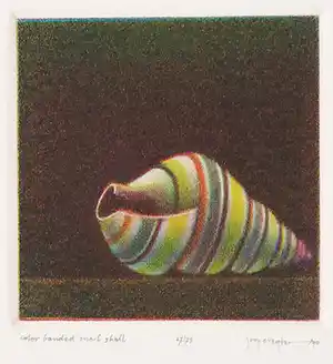 Joop Vegter - Mezzotint, Color banded snail shell verkocht voor € 50!