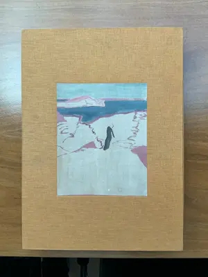 Jasper Krabbé - Zeefdruk en boek in cassette kopen? Bied vanaf 325!