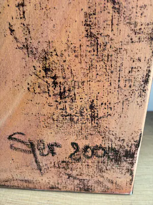 Sjer Jacobs - Sjer Jacobs groot doek kopen? Bied vanaf 950!