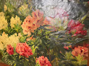 Léonie Mottart-van Marcke - Chrysanthèmes kopen? Bied vanaf 949!