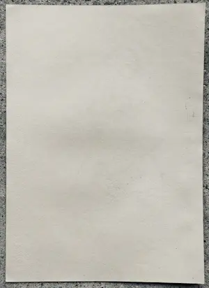 Karl Hofer - Javanische Tänzerin. Original-Lithografie,1921 kopen? Bied vanaf 250!