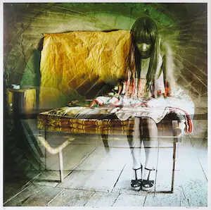 Maurice Kulsen - Foto, Not Alone - Ingelijst kopen? Bied vanaf 60!