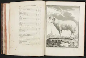 Georges-Louis Leclerc de Buffon - en Jacques de Seve - 14 delen van Histoire naturelle avec la description kopen? Bied vanaf 200!