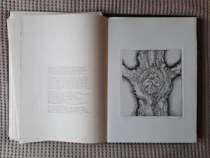 John van Kooten - "Koninklijke kunst" | portfolio met 16 etsen kopen? Bied vanaf 10!