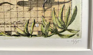 Rolf Weijburg - Flora y Fauna de las islas Canarias Occidentales kopen? Bied vanaf 85!