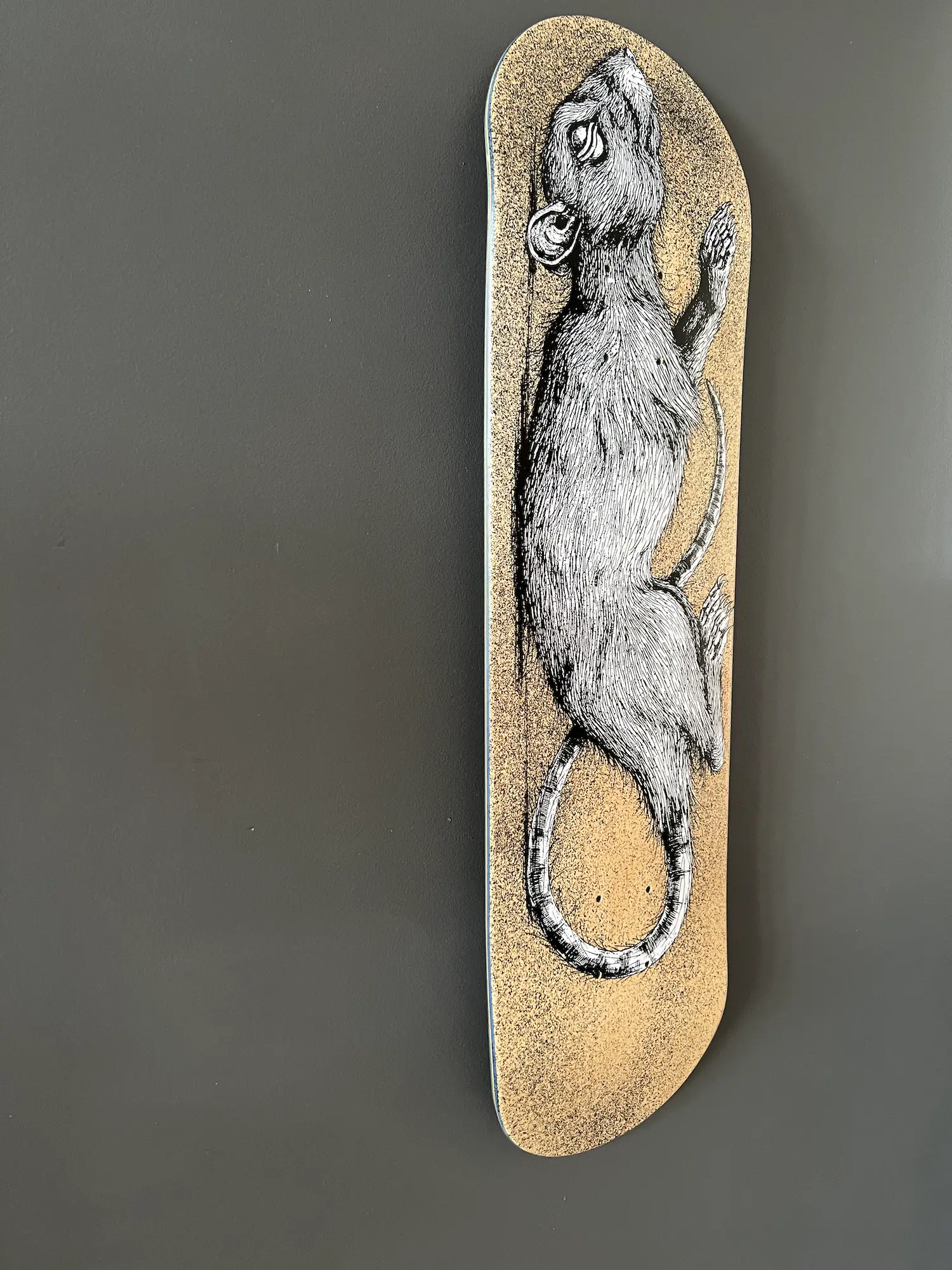 ROA (1976)