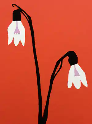 Wouter van Riessen - zeefdruk ‘Sneeuwklokjes’ - 2007 verkocht voor € 60!
