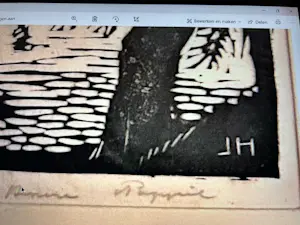 Johan Haak - Bijzondere houtsnede van Johan Haak op papier "zeilschip in landschap" kopen? Bied vanaf 30!