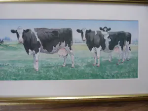 Wiebe A. van der Zee - Drie koeien op het land kopen? Bied vanaf 70!