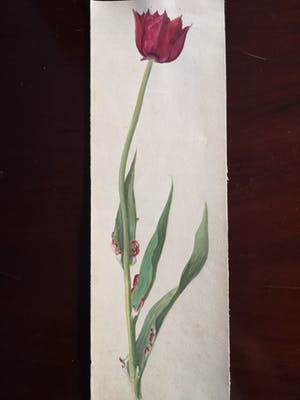 Niet of onleesbaar gesigneerd - Bloemen (5X) kopen? Bied vanaf 1!